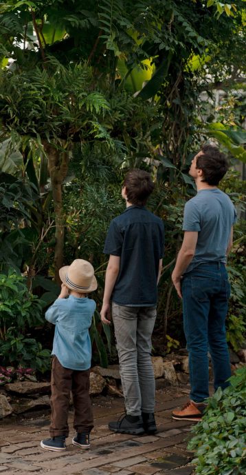 Adventurous family inspecting tropical gallery in Botanical garden. Local travel